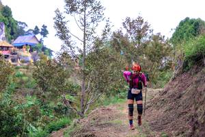 BIB: 
                            <button type="button" onclick="openModal(24848174)" class="btn btn-primary btn-sm float-right btn-popup" data-toggle="modal" data-target=".modal-high-quality">
                        <i class="fas fa-shopping-cart"></i> Add to Cart
                    </button>
                                            <button type="button" onclick="isThisMe(24848174, true)" class="btn btn-success btn-sm float-right btn-popup btn-isme hidden" data-toggle="tooltip" data-placement="bottom" title="นี่คือรูปของคุณใช่ไหม คลิกที่นี่เพื่อเอาเข้าอัลบั้ม">
                        <i class="fas fa-plus"></i> Add to album
                    </button>
                    <button type="button" onclick="isThisMe(24848174, false)" class="btn btn-warning btn-sm float-right btn-popup btn-isnotme hidden">
                        <i class="fas fa-ban"></i> Remove from album
                    </button>